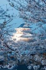 德州扑克ai训练-德州扑克AI训练，从基础到精通的旅程